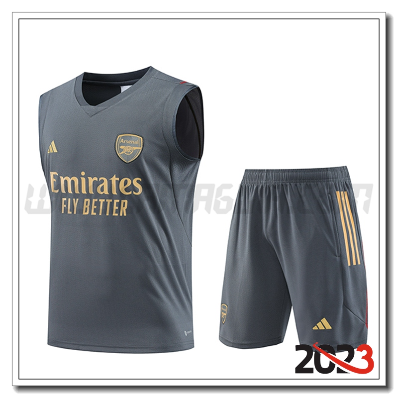 Kit Canotta Allenamento Arsenal + Pantaloncini Grigio 2023 2024