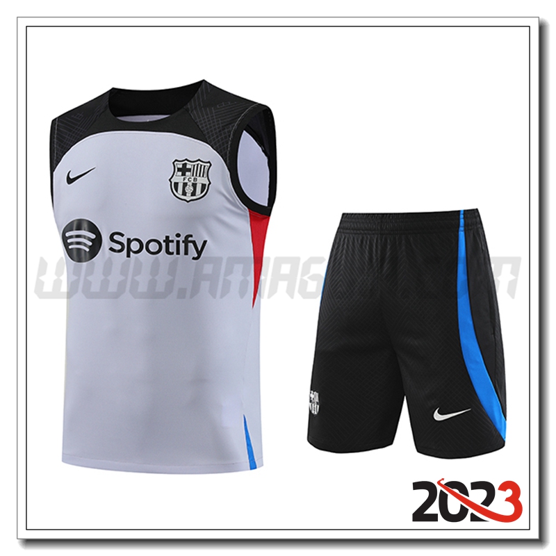 Kit Canotta Allenamento FC Barcellona + Pantaloncini Grigio 2023 2024