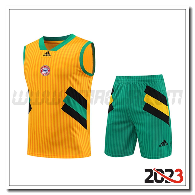 Kit Canotta Allenamento Bayern Monaco + Pantaloncini Giallo 2023 2024