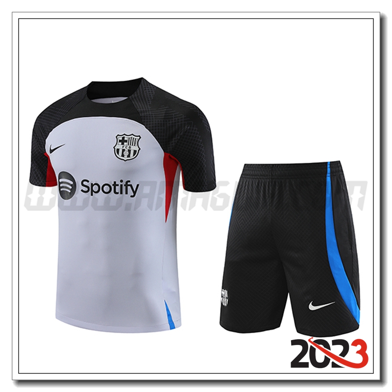Kit Maglia Allenamento FC Barcellona + Pantaloncini Grigio 2023 2024