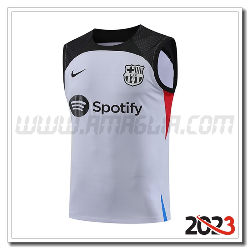 Canotta Allenamento FC Barcellona Grigio 2023 2024