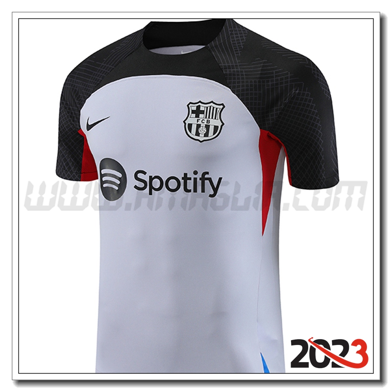 Maglia Allenamento FC Barcellona Grigio 2023 2024