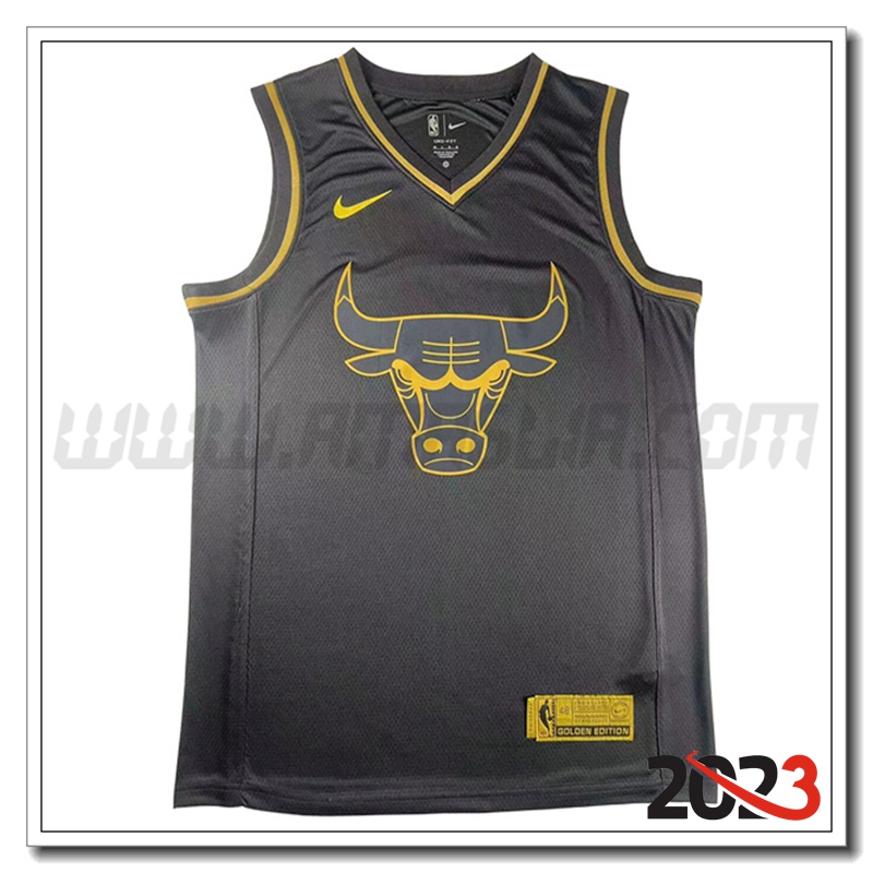 Maglia Chicago Bulls (JAMES #23) 2023/24 Nero