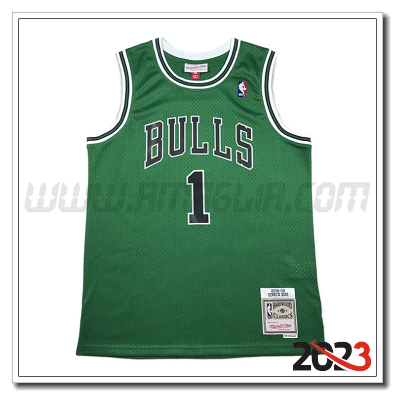 Maglia Chicago Bulls (Rosa #1) 2023/24 Verde