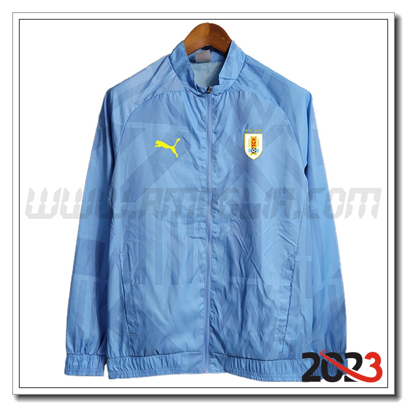 Giacca A Vento Benfica Azzurro 2023 2024