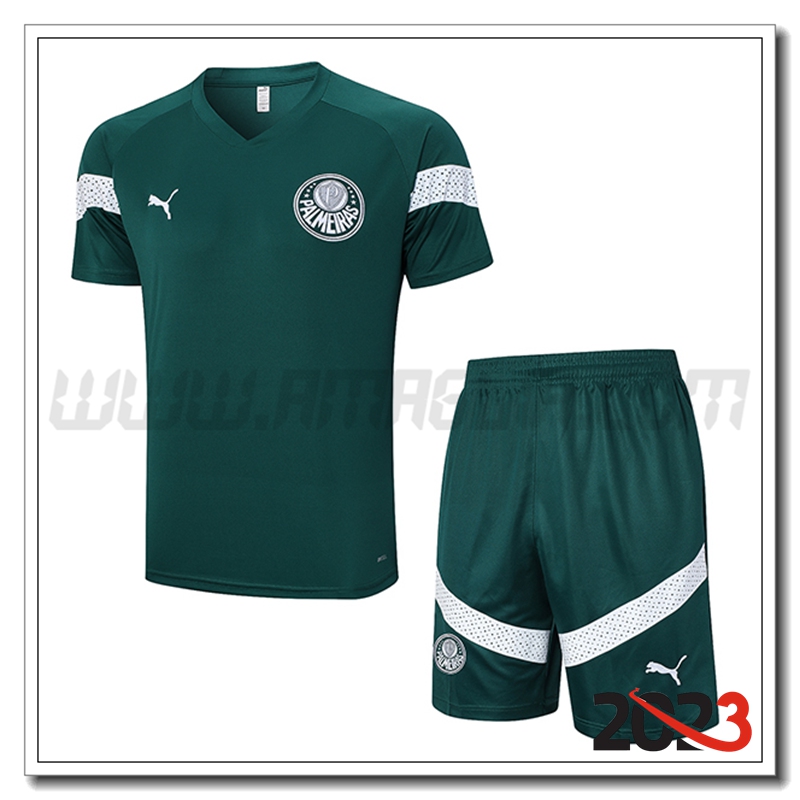 Kit Maglia Allenamento + Pantaloncini Palmeiras Verde 2023 2024 -02