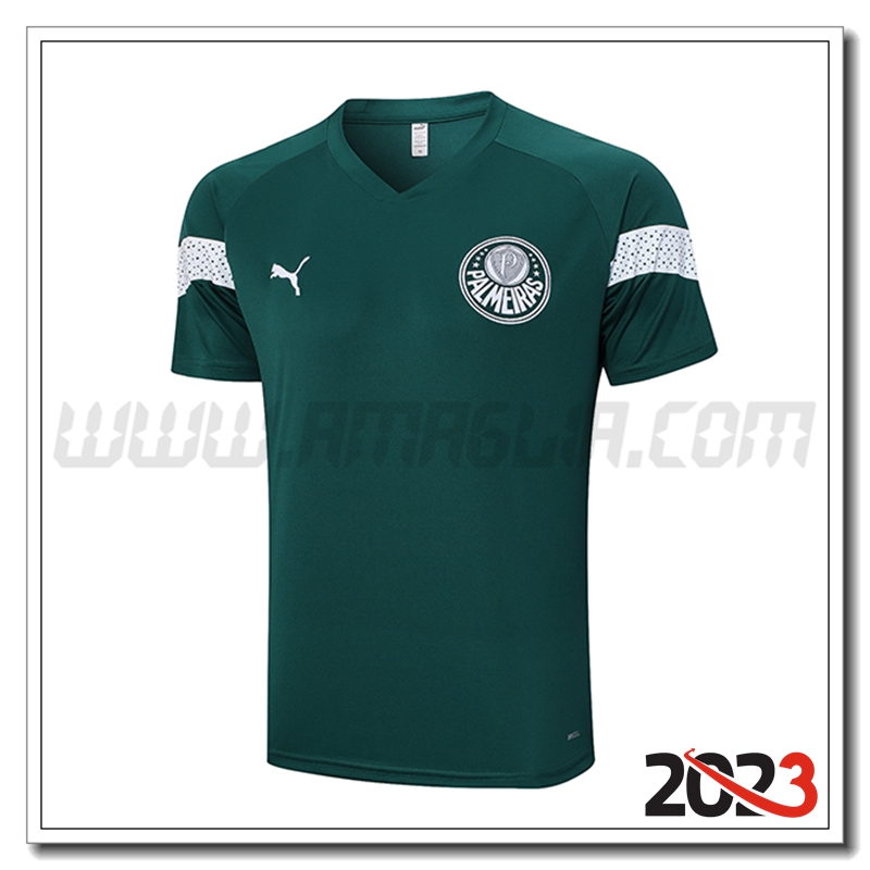 T Shirt Allenamento Palmeiras Verde 2023 2024 -03