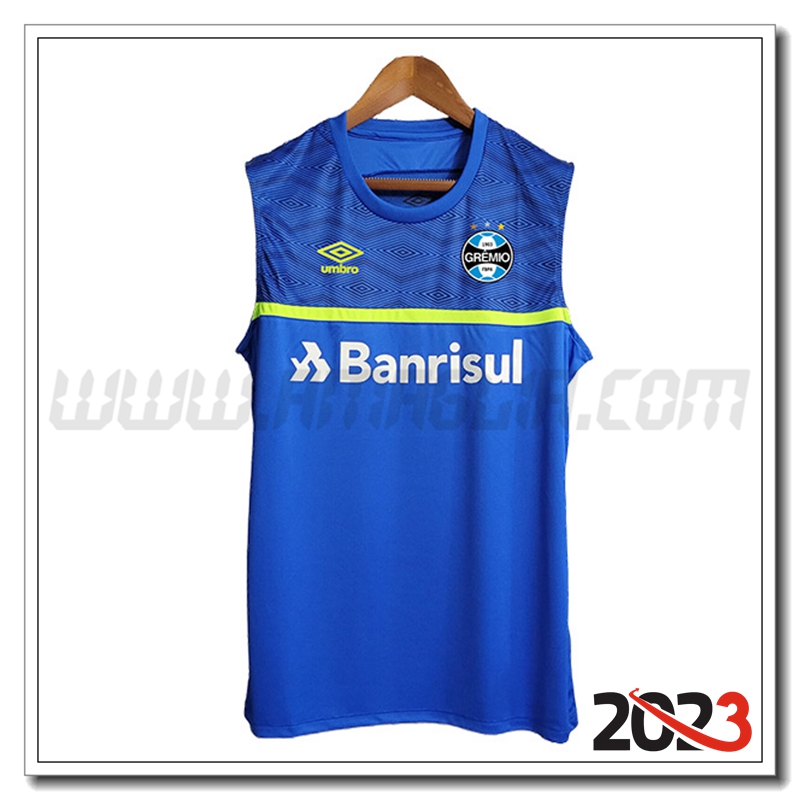 Canotta Allenamento Gremio Blu 2023 2024