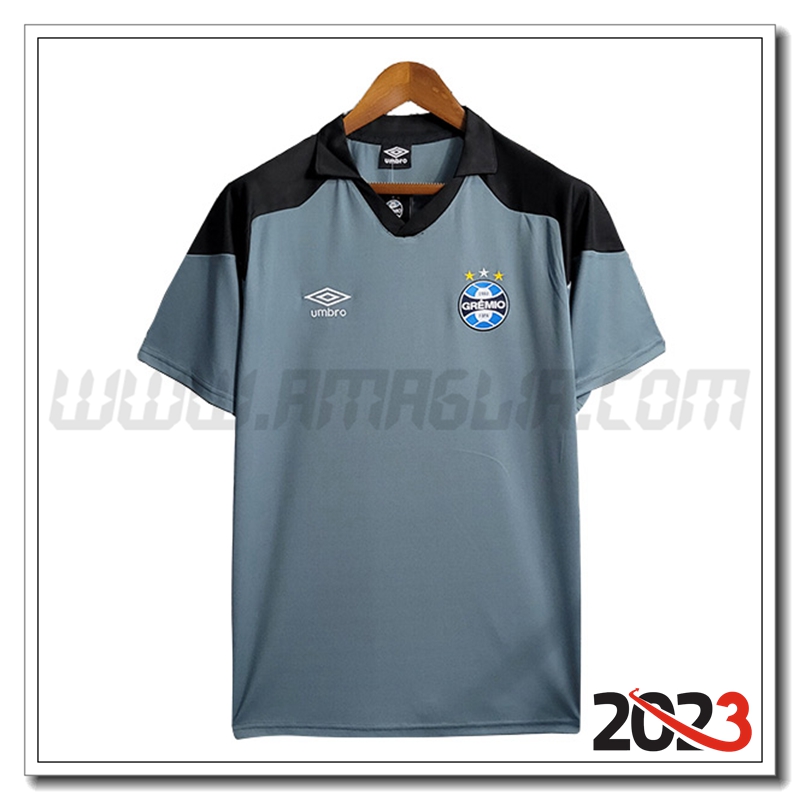 T Shirt Allenamento Gremio Grigio 2023 2024 -02
