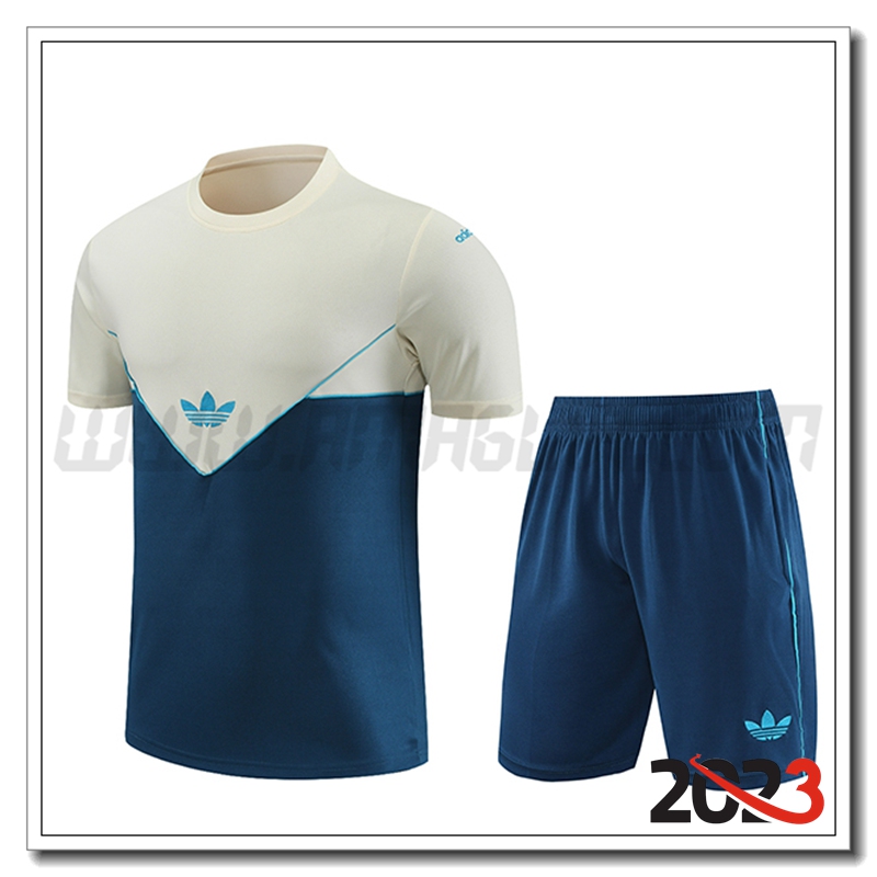 Kit Maglia Allenamento + Pantaloncini Adidas Bianco/Blu 2023 2024