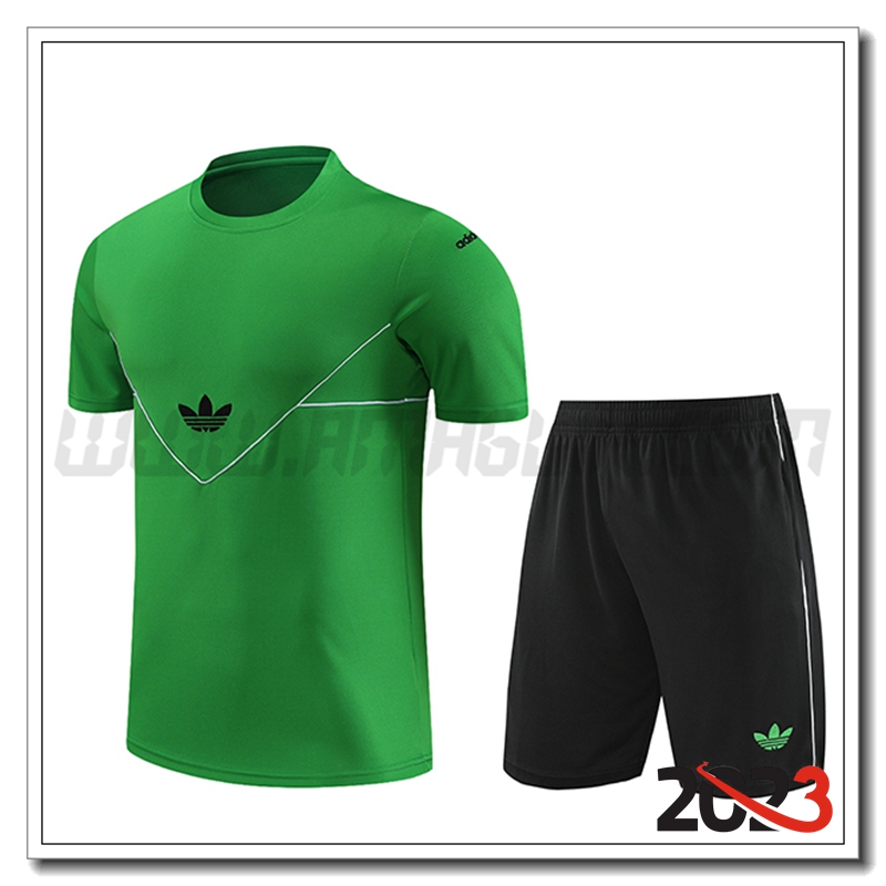 Kit Maglia Allenamento + Pantaloncini Adidas Verde 2023 2024