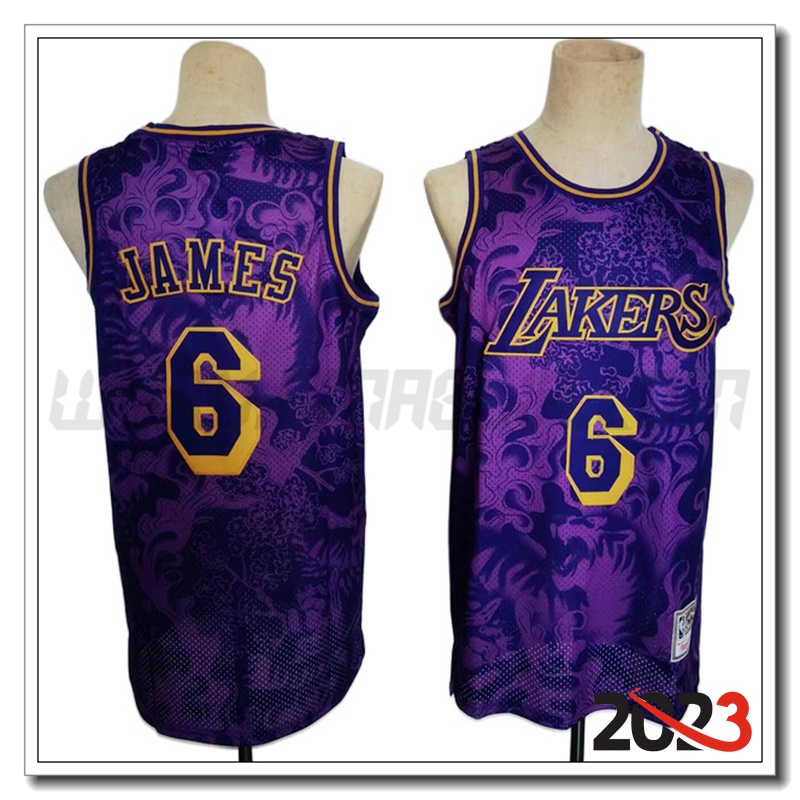 Maglia Los Angeles Lakers (JAMES #6) 2023/24 viola -02