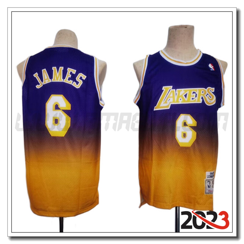 Maglia Los Angeles Lakers (JAMES #6) 2023/24 viola/Giallo