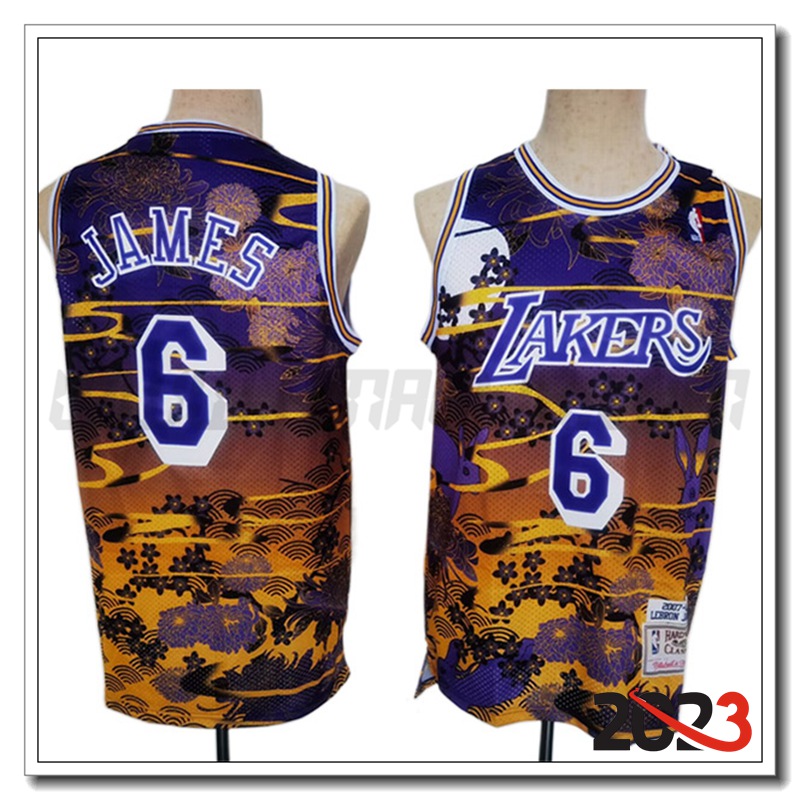 Maglia Los Angeles Lakers (JAMES #6) 2023/24 viola/Giallo -02