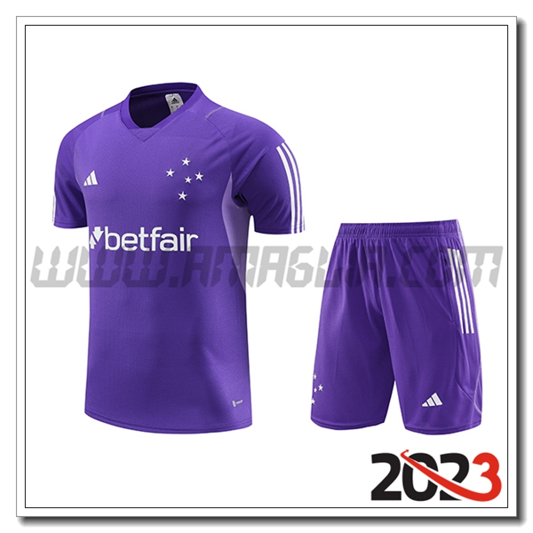 Kit Maglia Allenamento + Pantaloncini Cruzeiro viola 2023 2024 -02
