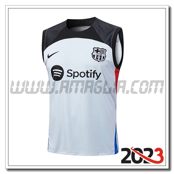Canotta Allenamento FC Barcellona Grigio 2023 2024 -02