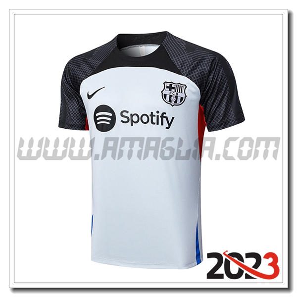 T Shirt Allenamento FC Barcellona Grigio 2023 2024 -02