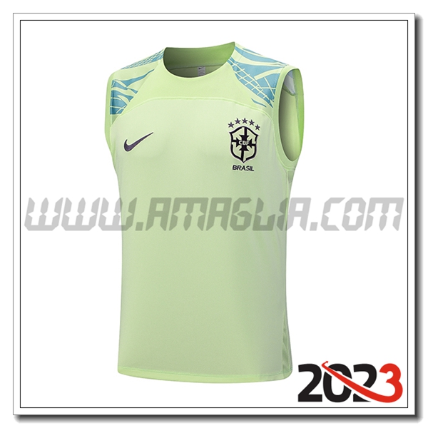Canotta Allenamento Brasile Verde 2023 2024