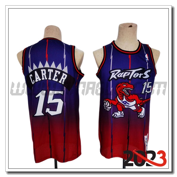 Maglia Toronto Raptors (CARTER #15) 2023/24 viola/Rosso