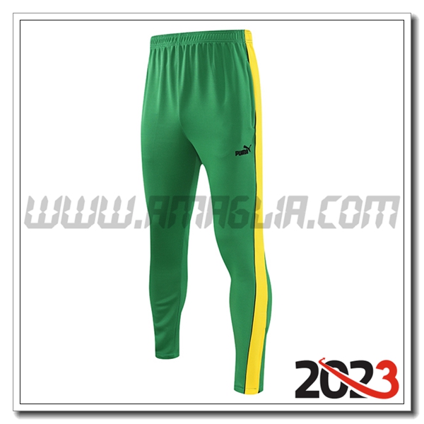 Pantaloni Da Allenamento PUMA Verde 2023 2024