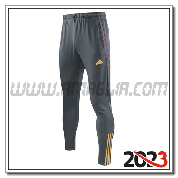 Pantaloni Da Allenamento Arsenal Grigio 2023 2024