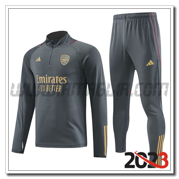 Tuta Allenamento Arsenal Grigio 2023 2024