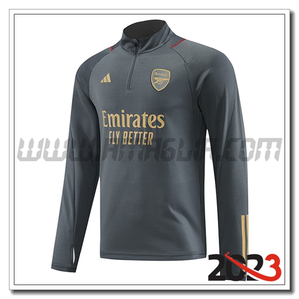Felpa Allenamento Arsenal Grigio 2023 2024