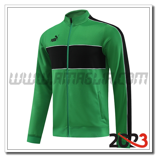 Giacca Calcio PUMA Verde 2023 2024