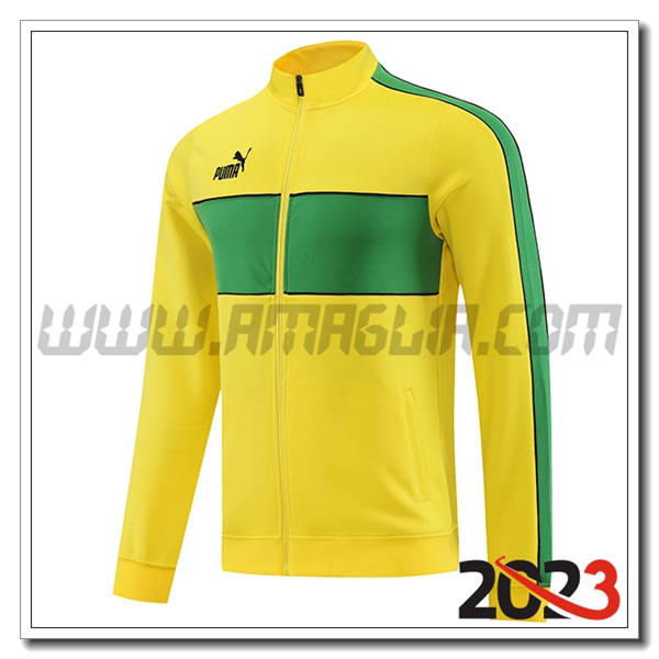 Giacca Calcio PUMA Giallo 2023 2024