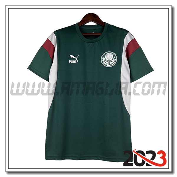 Maglia Calcio Palmeiras 2023 2024 Verde