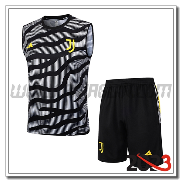 Kit Canotta Allenamento + Pantaloncini Juventus Grigio 2023 2024