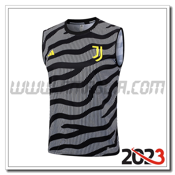 Canotta Allenamento Juventus Grigio 2023 2024