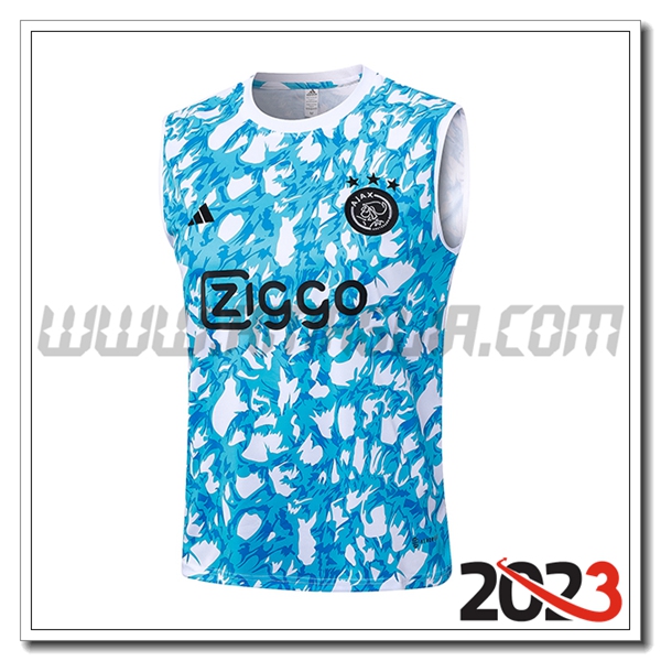 Canotta Allenamento Ajax Azzurro 2023 2024