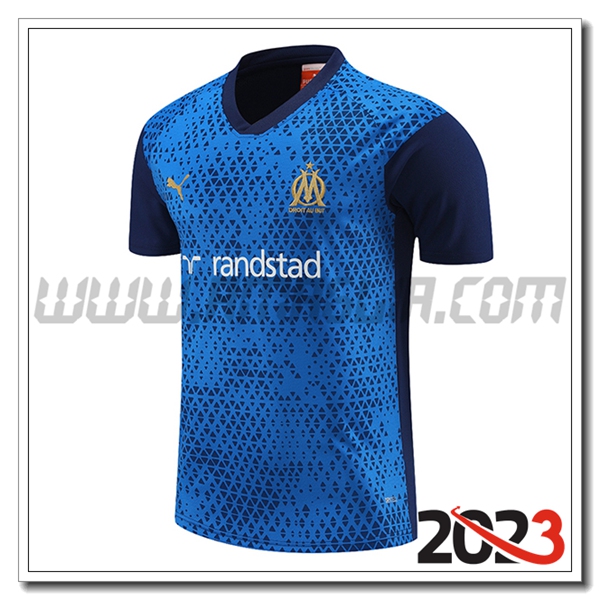 T Shirt Allenamento Inter Milan Blu 2023 2024 -02
