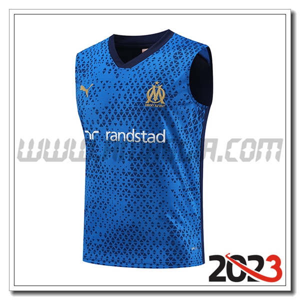 Canotta Allenamento Inter Milan Blu 2023 2024 -02