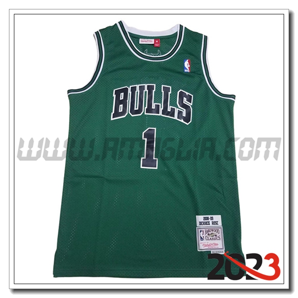 Maglia Chicago Bulls (Rosa #1) 2023/24 Verde