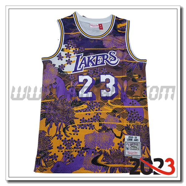 Maglia Los Angeles Lakers (JAMES #23) 2023/24 Giallo/viola