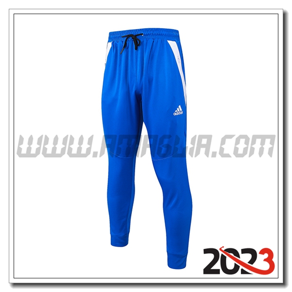 Pantaloni Da Allenamento Adidas Blu 2023 2024