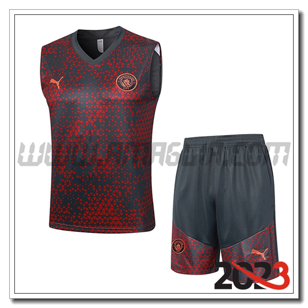 Kit Canotta Allenamento + Pantalonicini Manchester City Grigio 2023 2024