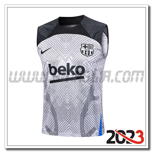 Canotta Allenamento FC Barcellona Grigio Chiaro 2023 2024