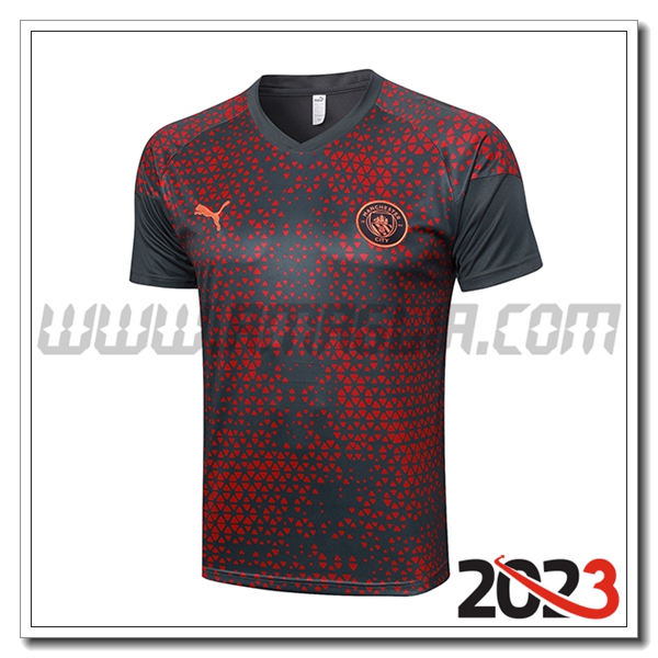 T Shirt Allenamento Manchester City Grigio 2023 2024