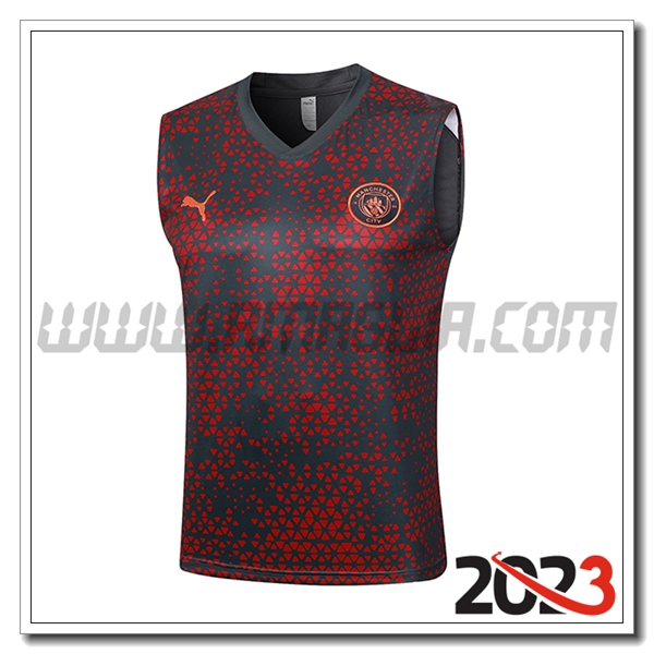 Canotta Allenamento Manchester City Grigio 2023 2024