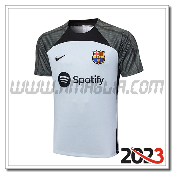 T Shirt Allenamento FC Barcellona Grigio Chiaro 2023 2024