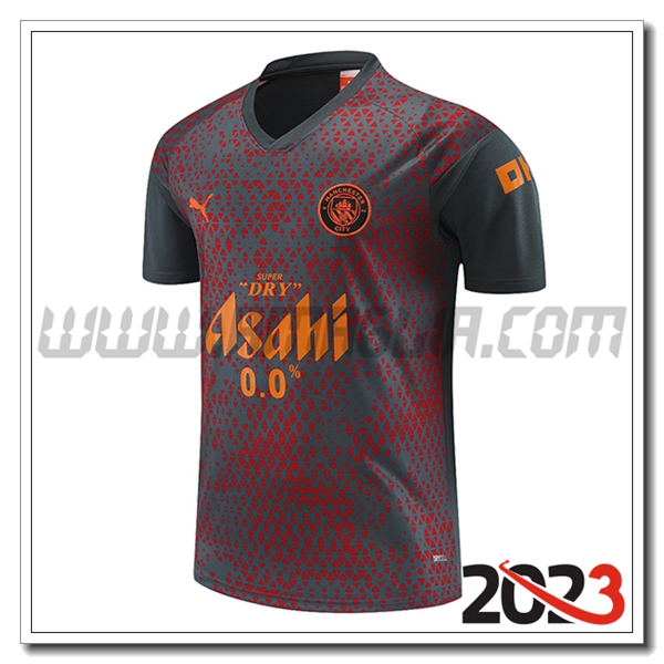 T Shirt Allenamento Manchester City Grigio/Rosso 2023 2024