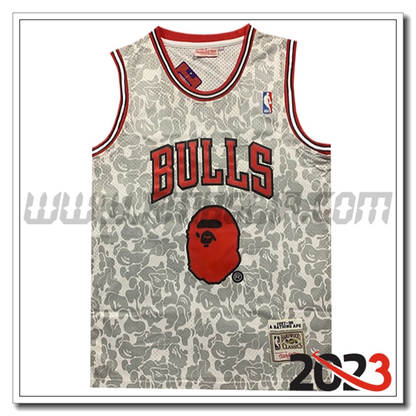 Maglia Chicago Bulls (BAPE #93) 2023/24 Grigio/Rosso