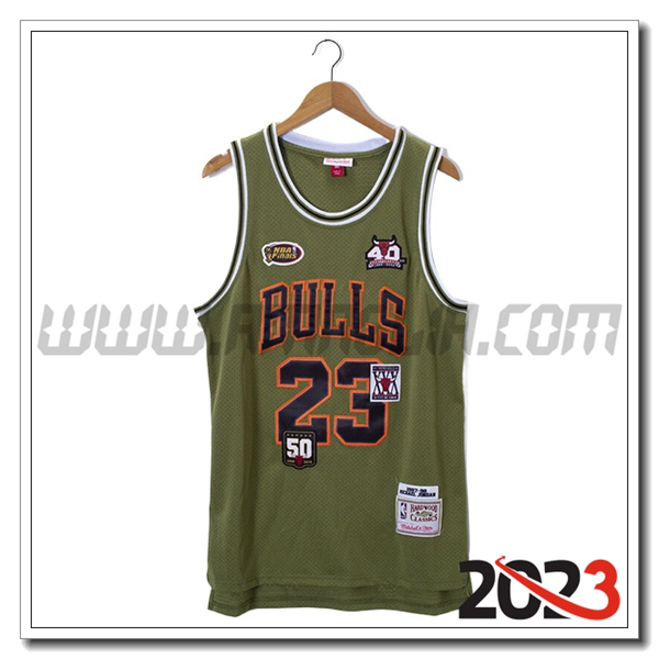 Maglia Chicago Bulls (JORDAN #23) 2023/24 Verde