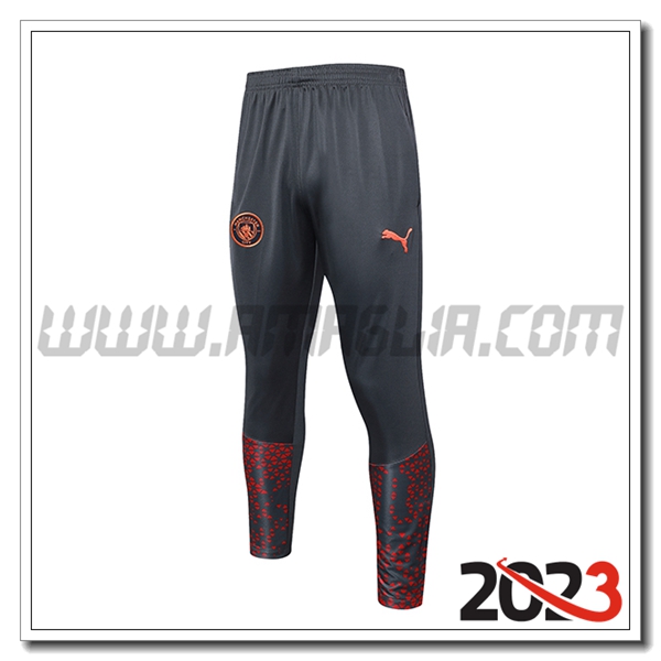 Pantaloni Allenamento Manchester City Grigio 2023 2024