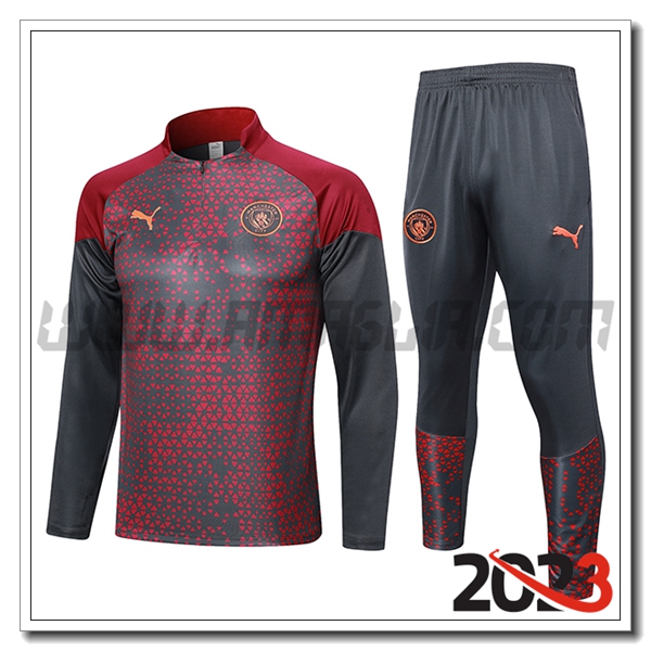 Tuta Allenamento Manchester City Grigio 2023 2024