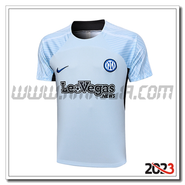 T Shirt Allenamento Inter Milan Grigio 2023 2024