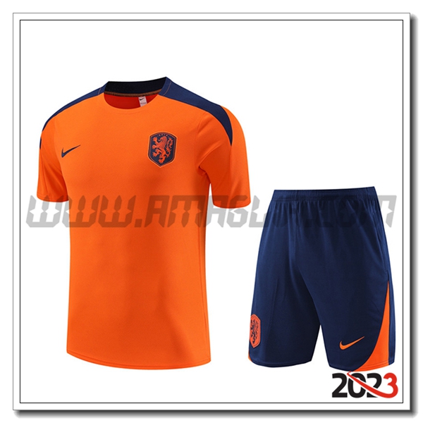 Kit Maglia Allenamento + Pantaloncini Paesi Bassi Arancia 2023 2024